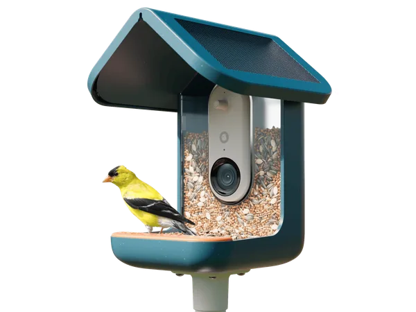Birdbuddy PRO Solar smart bird feeder with integrated camera and blue solar roof